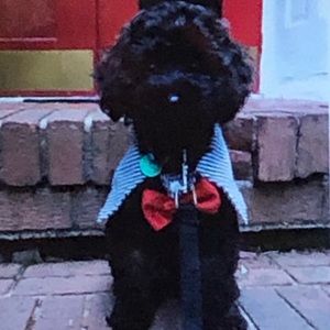 Meet your Posher, Anna